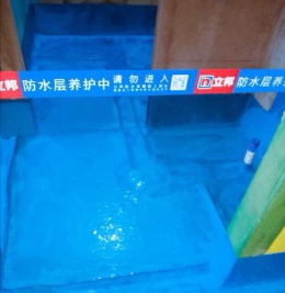 建业春天里