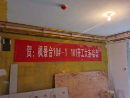 枫景台10#1-101