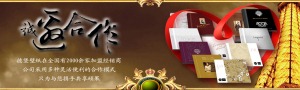 公司介绍