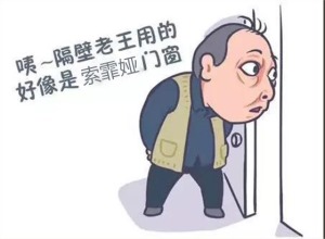 公司介绍